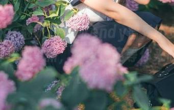 MiStar魅妍社 - Wendy智秀不负众望，美脚写真更新，视觉盛宴等你来欣赏！.txt