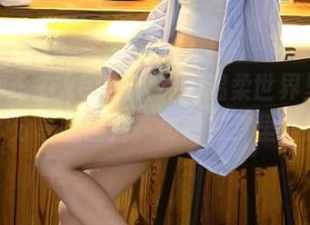 秀人网 - 在kelly凯莉的温柔世界里，来看看她分享的图片，仿佛在梦里漫游.txt