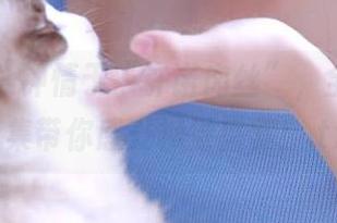 美媛馆 - 钟情于“许诺肉丝”，全新图册合集带你感受视觉盛宴！.txt